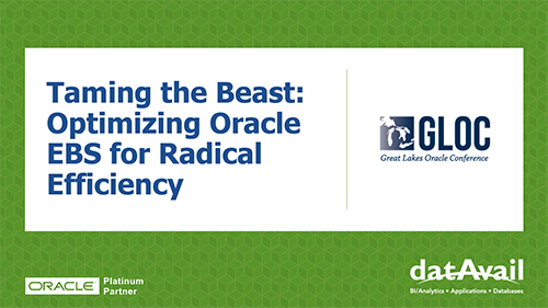 Optimizing Your Robust Oracle EBS Footprint for Radical Efficiency