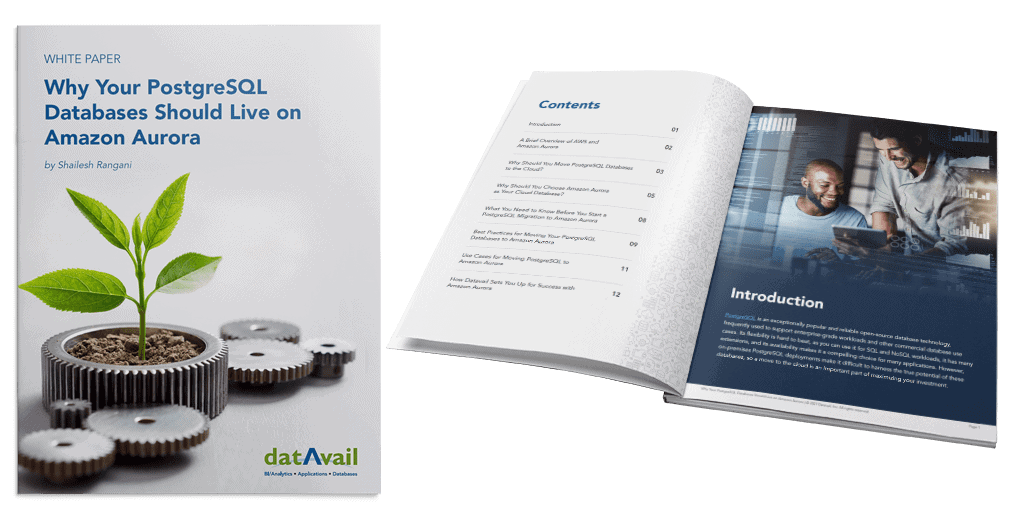 Datavail White Paper