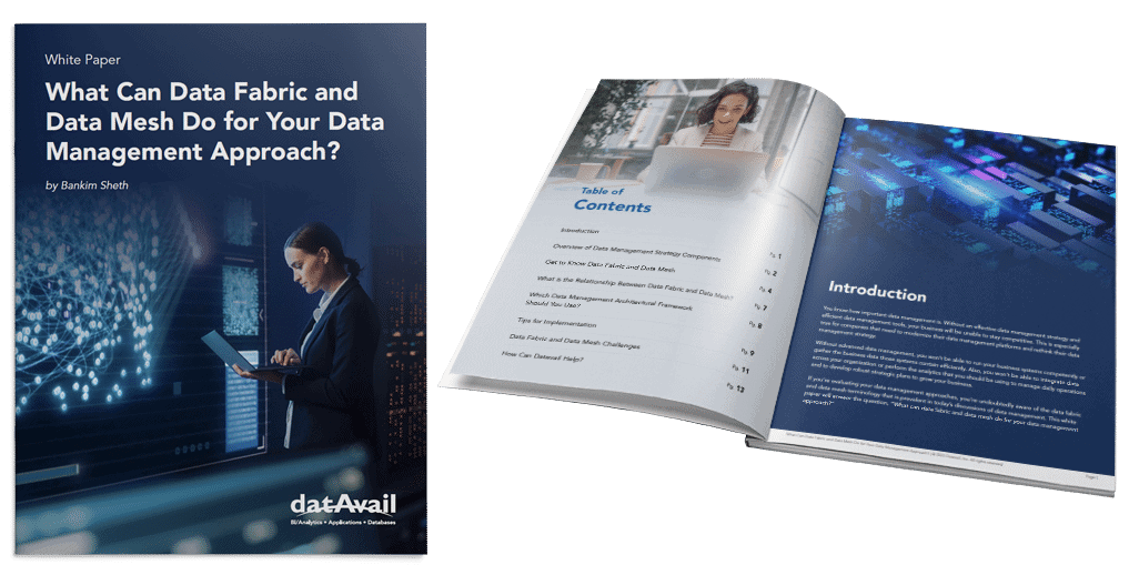 Datavail White Paper