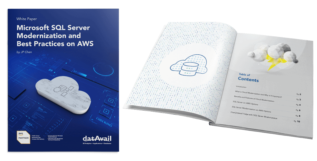 Datavail White Paper