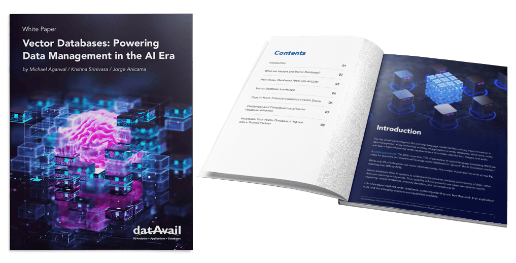 Datavail White Paper
